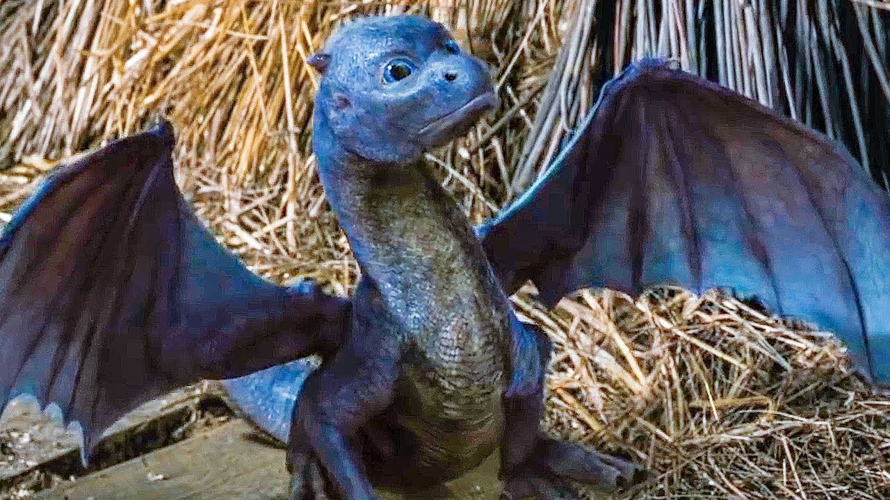 Shepherd Found a Dragon Egg in Cowshed | ERAGON 
