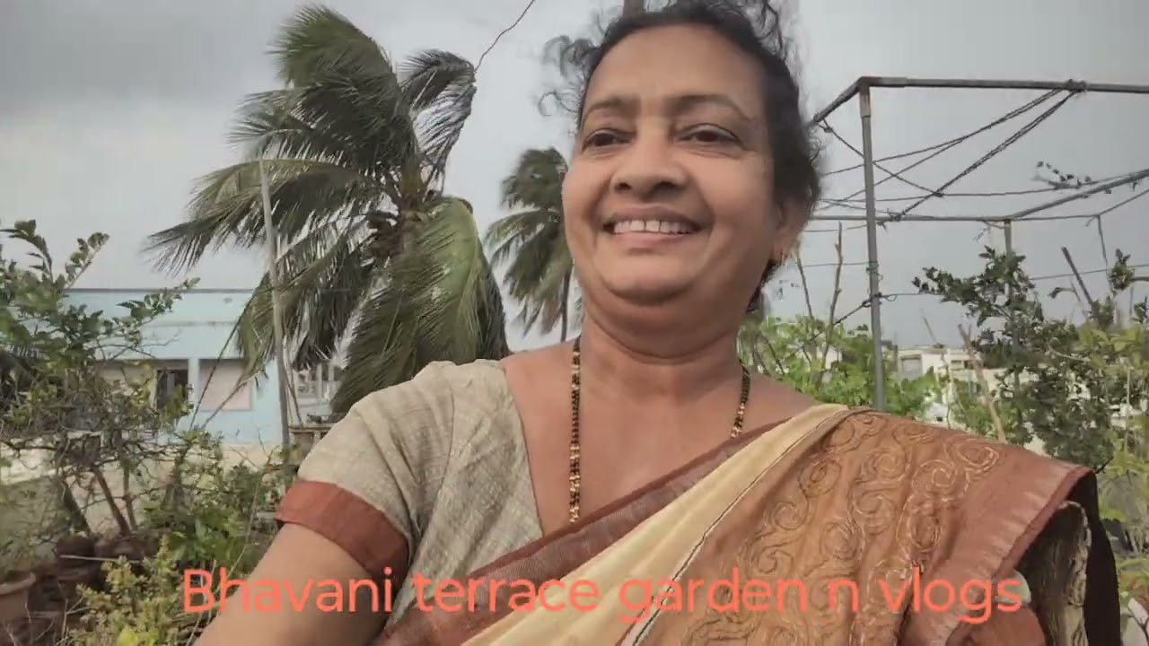 మన టెర్రస్ మీద కాప్సికం పూత కాయలు వచ్చాయి అండి 