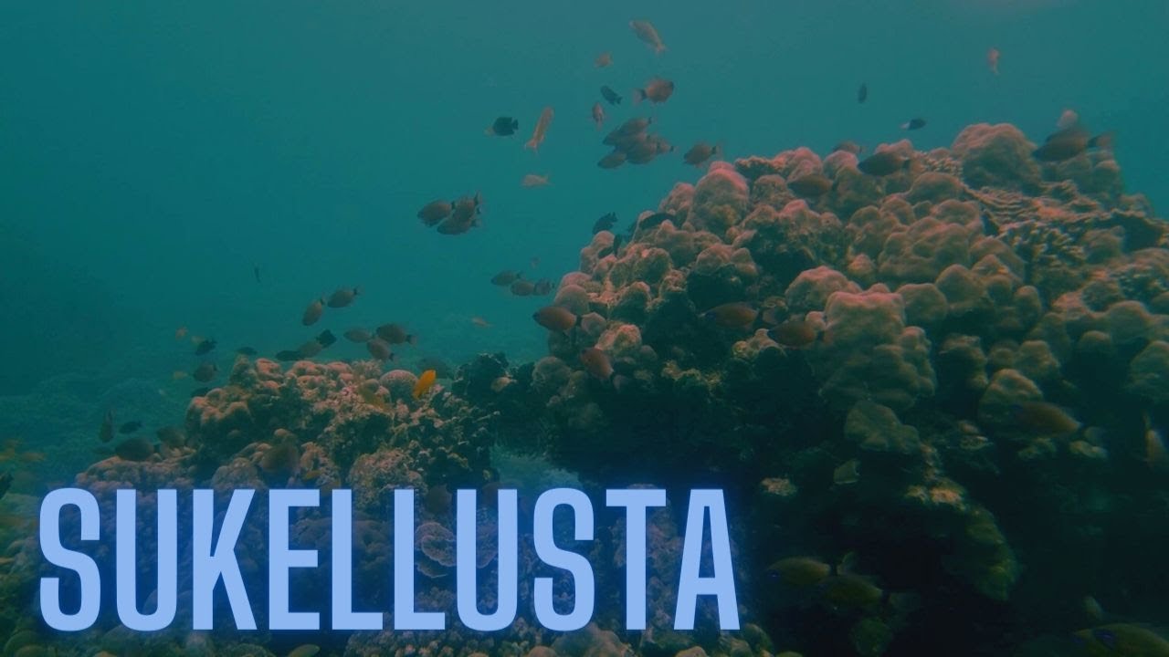Sukelluskurssi