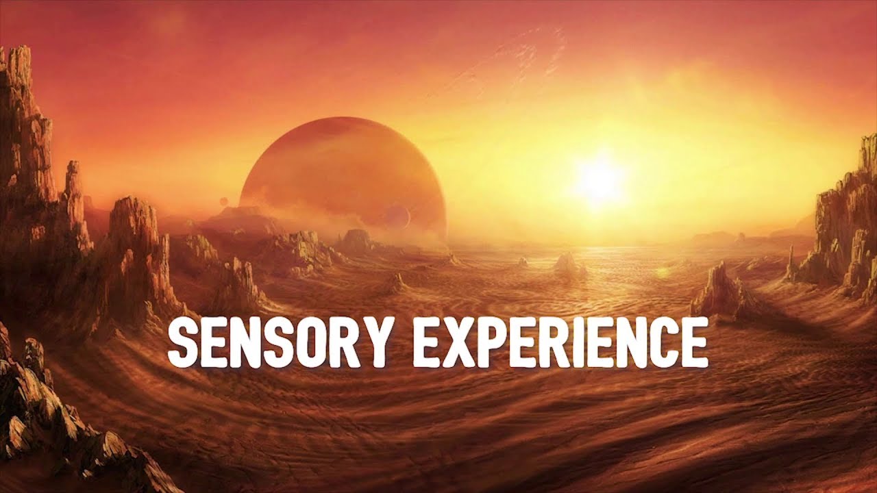 Sensory Experience - Understanding Autism