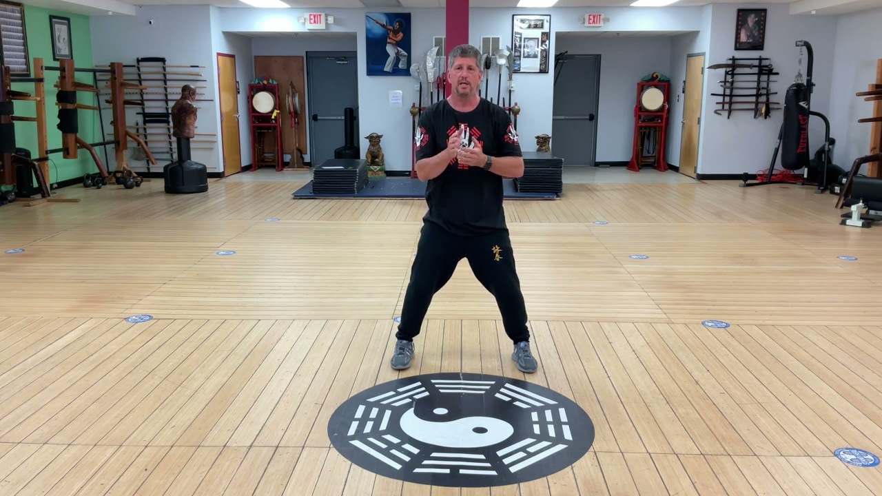 Wing Chun Daan Chi Sao