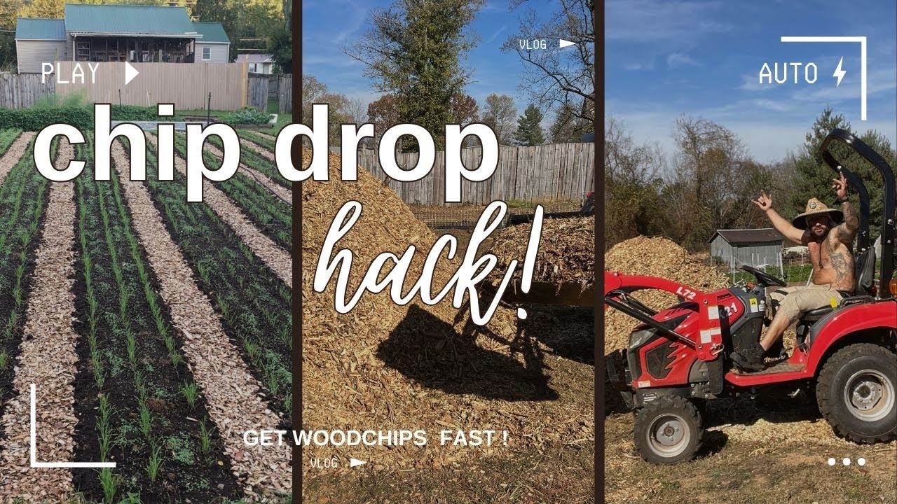 Get Wood Chips FAST! Secret $20 Trick for Instant Delivery | GetChipDrop.com Revealed