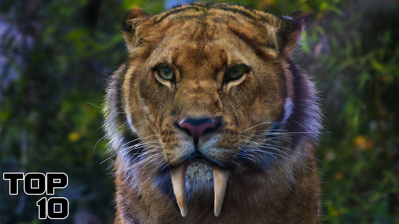Top 10 Extinct Animals We Shouldn't Bring Back To Life - Part 4