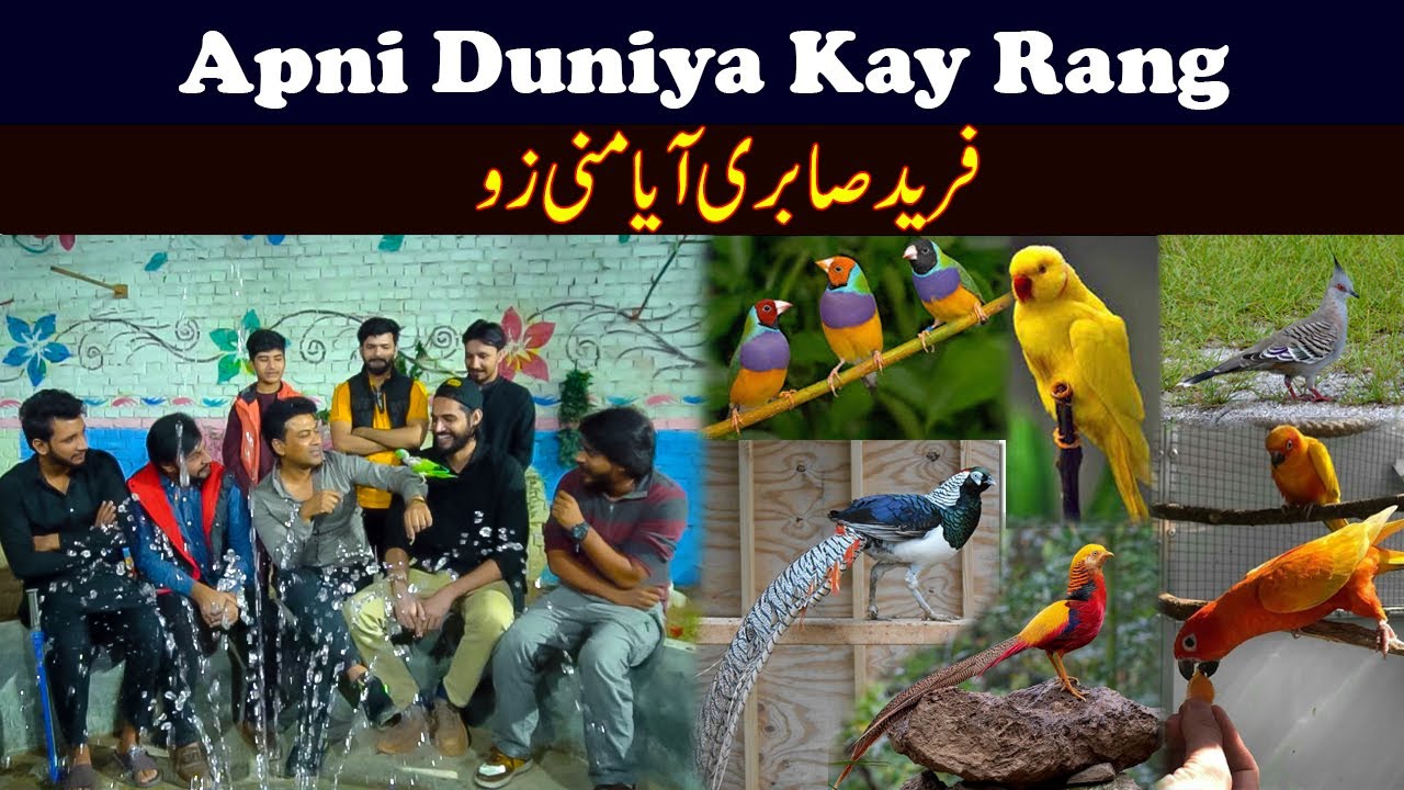 Sajjad Jani Team | Fareed Sabri Funny Punjabi Video | Apni Duniya Kay Rang