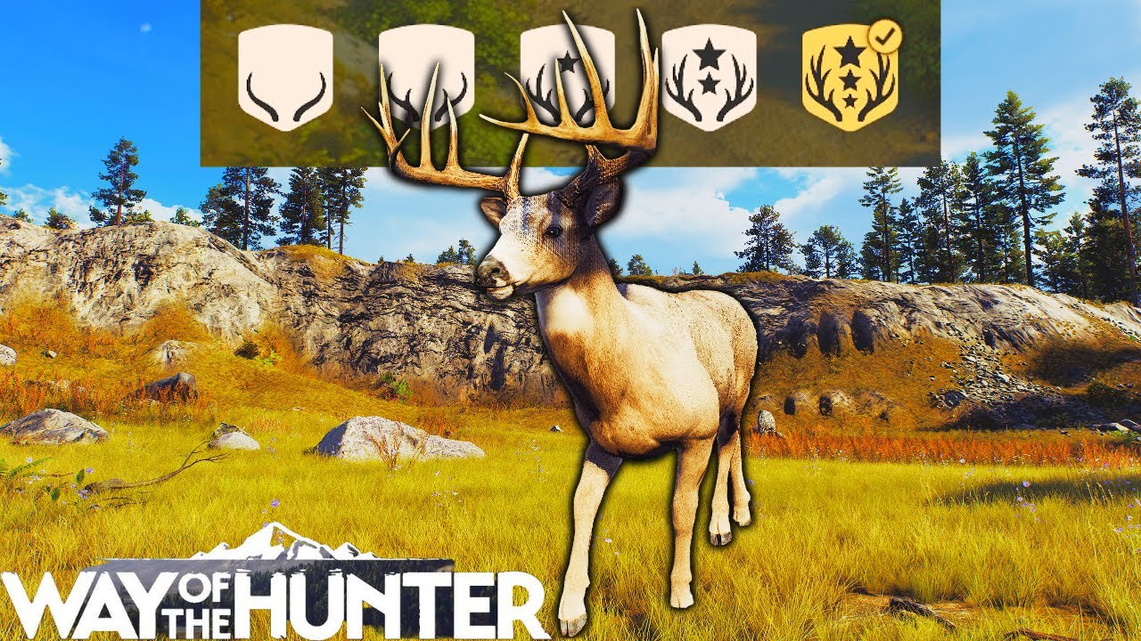 First 5 Star on Ranger Difficulty! | Way of the Hunter