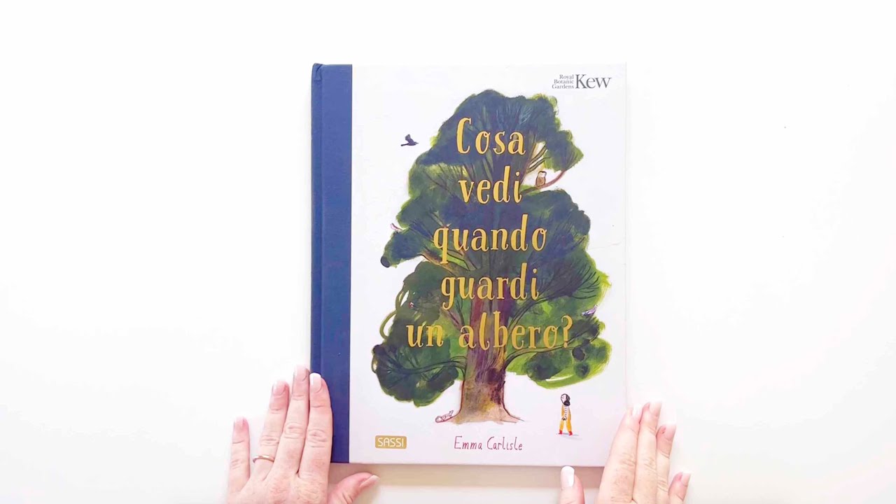 Sassi Junior. Libri illustrati - Cosa vedi quando guardi un albero?