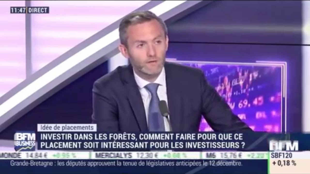 Jonathan Dhiver sur Int&eacute;grale Placements : focus sur les Groupements Forestiers