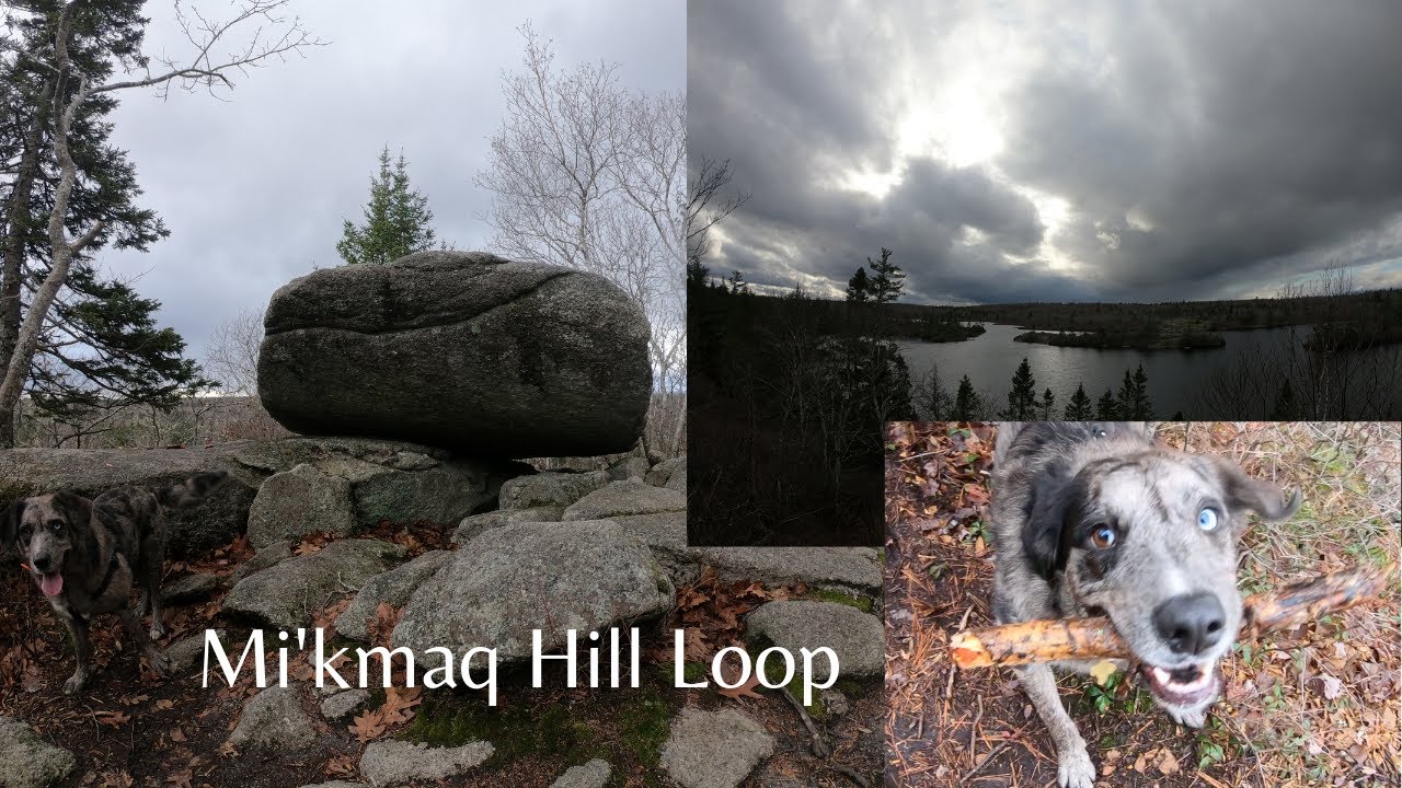 Mi'kmaq Hill Loop with Eddie (The Bluff Trail, Halifax)