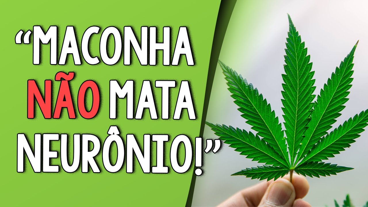 o REMÉDIO do FUTURO! - Neurocientista SIDARTA RIBEIRO fala sobre drogas