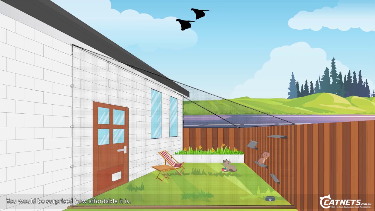 Backyard D.I.Y. Cat Netting Enclosure Animation | Catnets.com.au