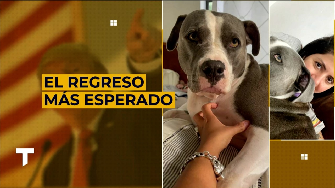 Maga volvió a Córdoba: emotivo reencuentro familiar