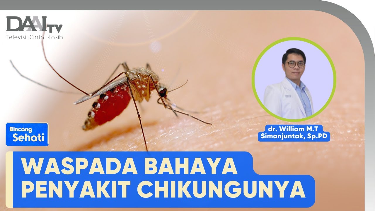 Waspada Chikungunya | Bincang Sehati