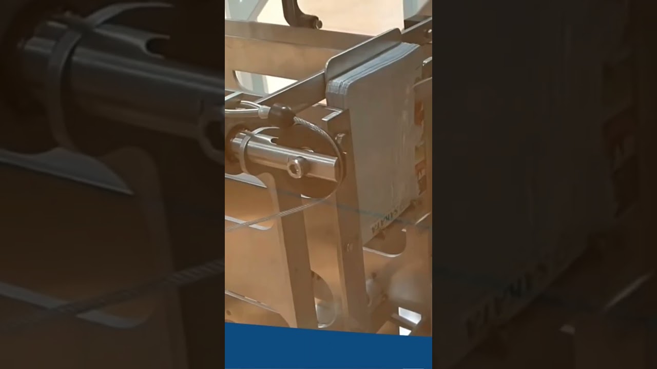 Seed counting and packing 260-Flex #seedcounter #innovation #machines #seed #shorts #short #seeds