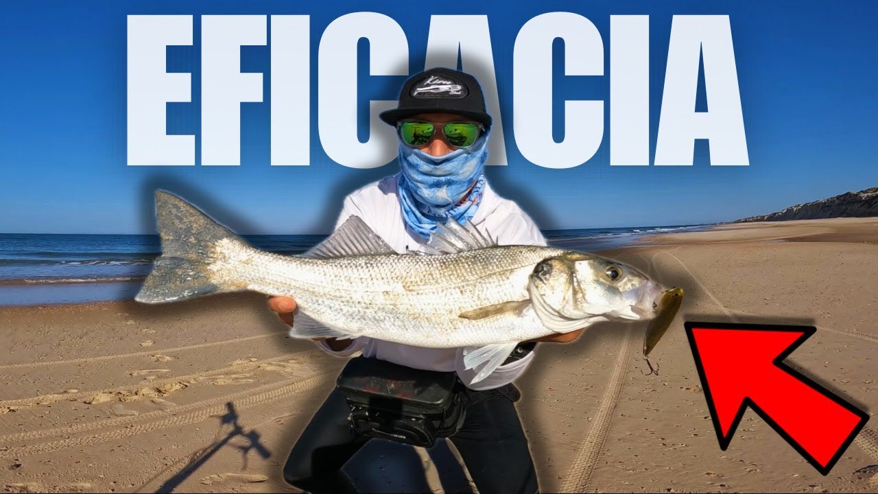 PESCA de ROBALOS y BAILAS estrenando PASEANTE LETAL | Reto NUEVO COLOR para PLAYA