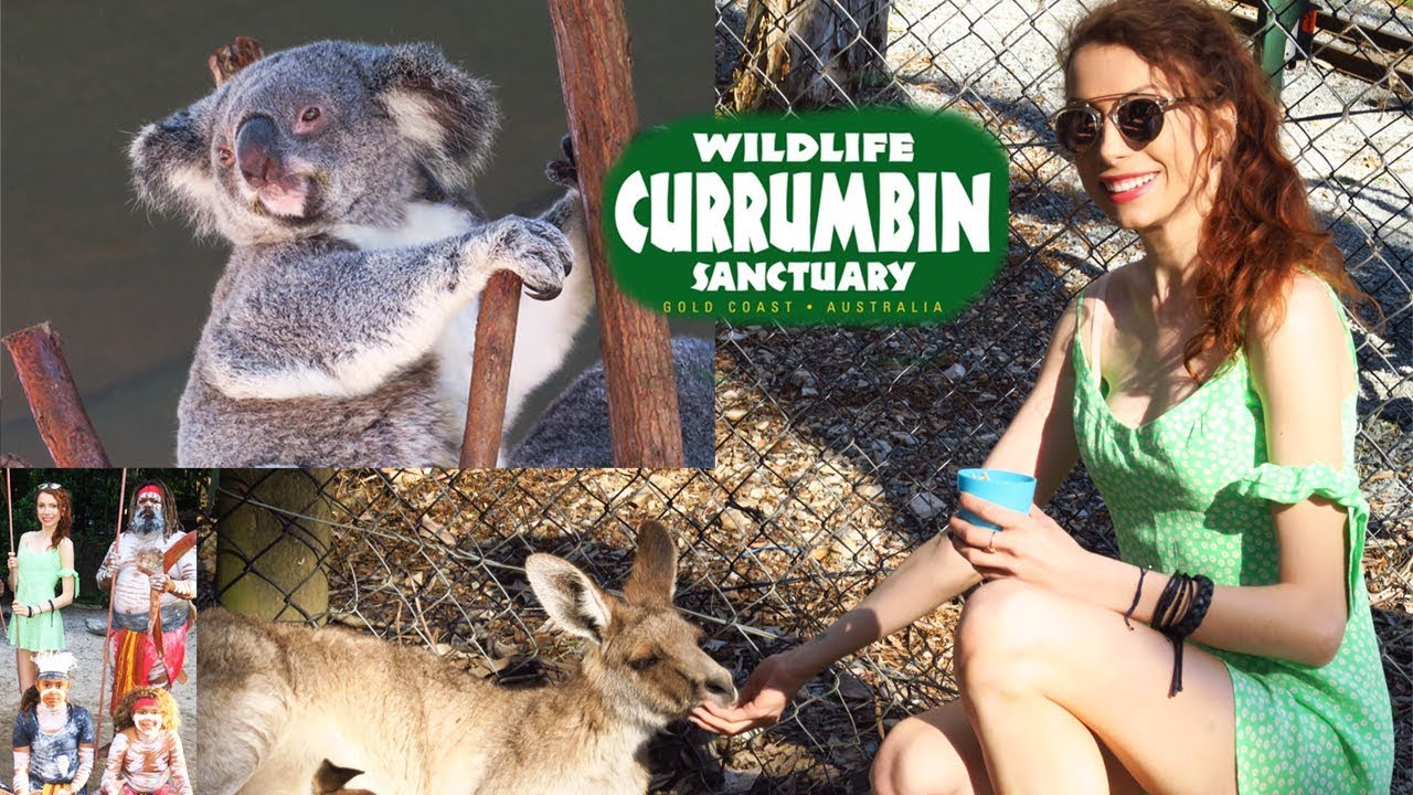 Currumbin Wildlife Sanctuary | Best Of Gold Coast Australia Trip