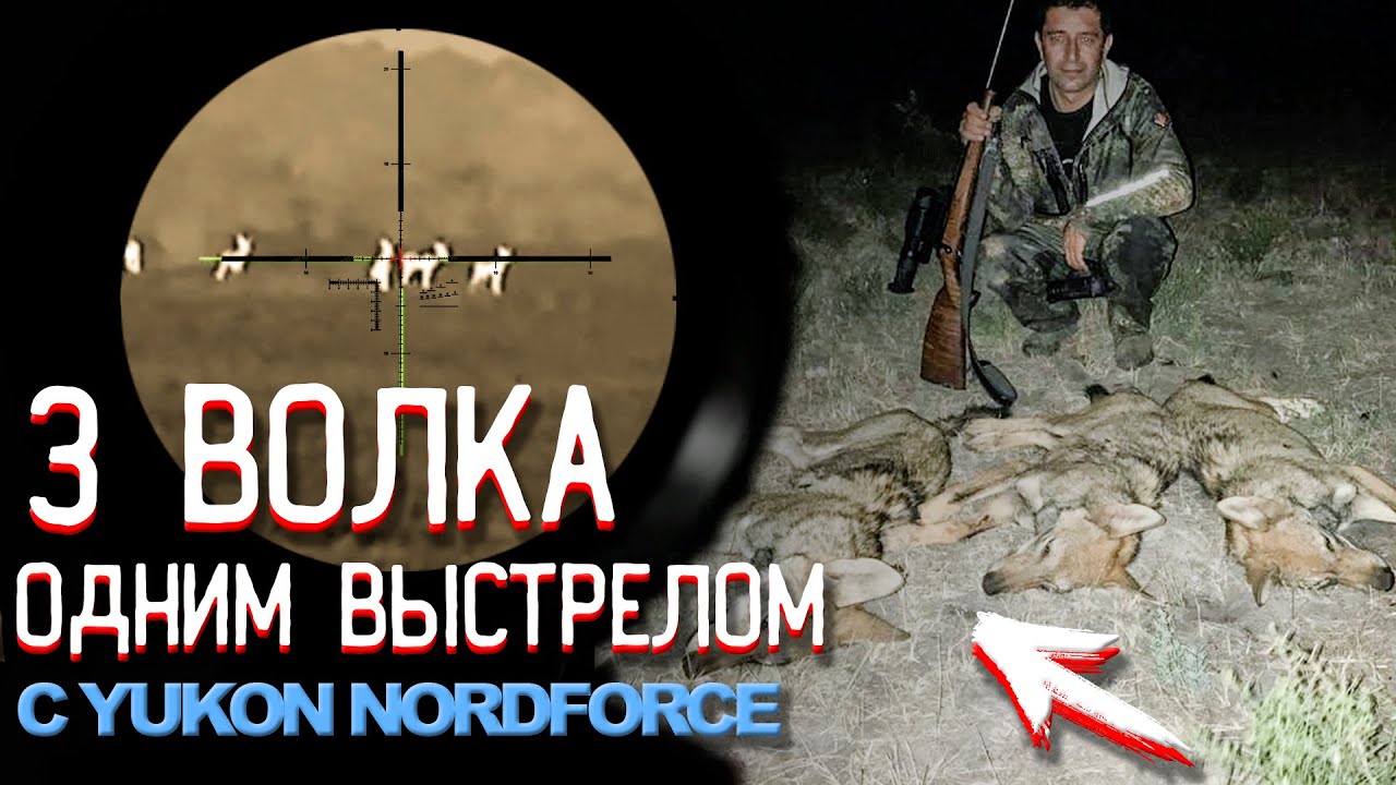 Три ВОЛКА одним выстрелом!!! Охота с прицелом Yukon Nordforce. Выстрелы по стае волков.