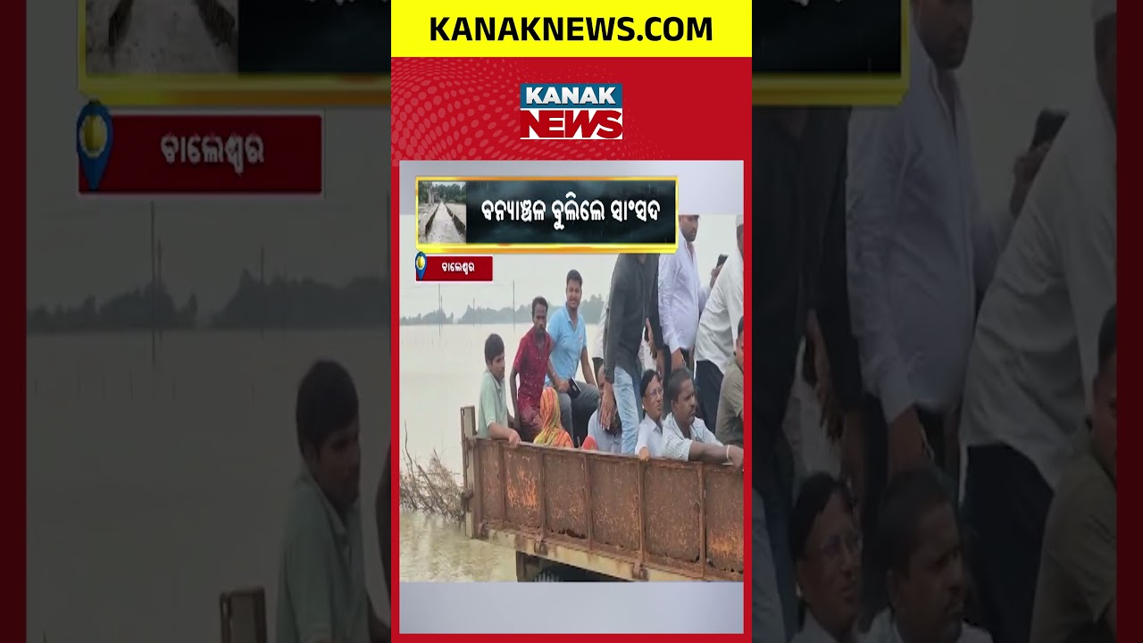 ବନ୍ୟାଞ୍ଚଳ ବୁଲିଲେ ସାଂସଦ | Flood in Balasore | MP Visits Flood-Hit Areas, Inspects Ground Situation