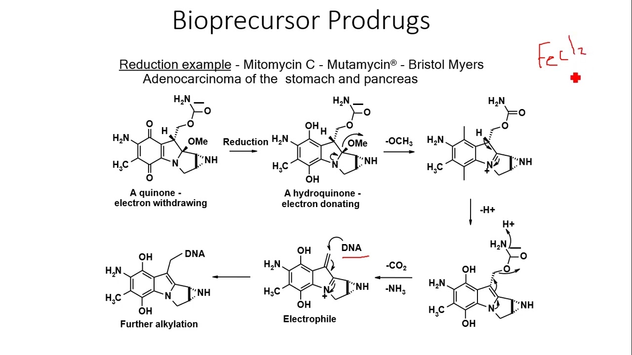 bioprecursor and polymeric orodrug