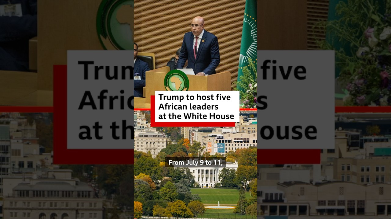 Why is Trump hosting these African leaders at the White House? - BBC Africa