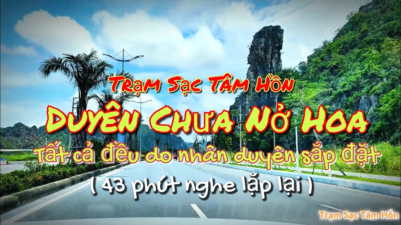 Duyên Chưa Nở Hoa |Không tự đến không tự đi,  tất cả đều do nhân duyên sắp đặt|#phatphap #nhanduyen