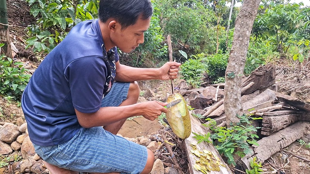 Setelah Aktivitas Seharian, Nangka Muda, Masak Bumbu Kuning, Menu Makan Sahur Dan Buka Puasa