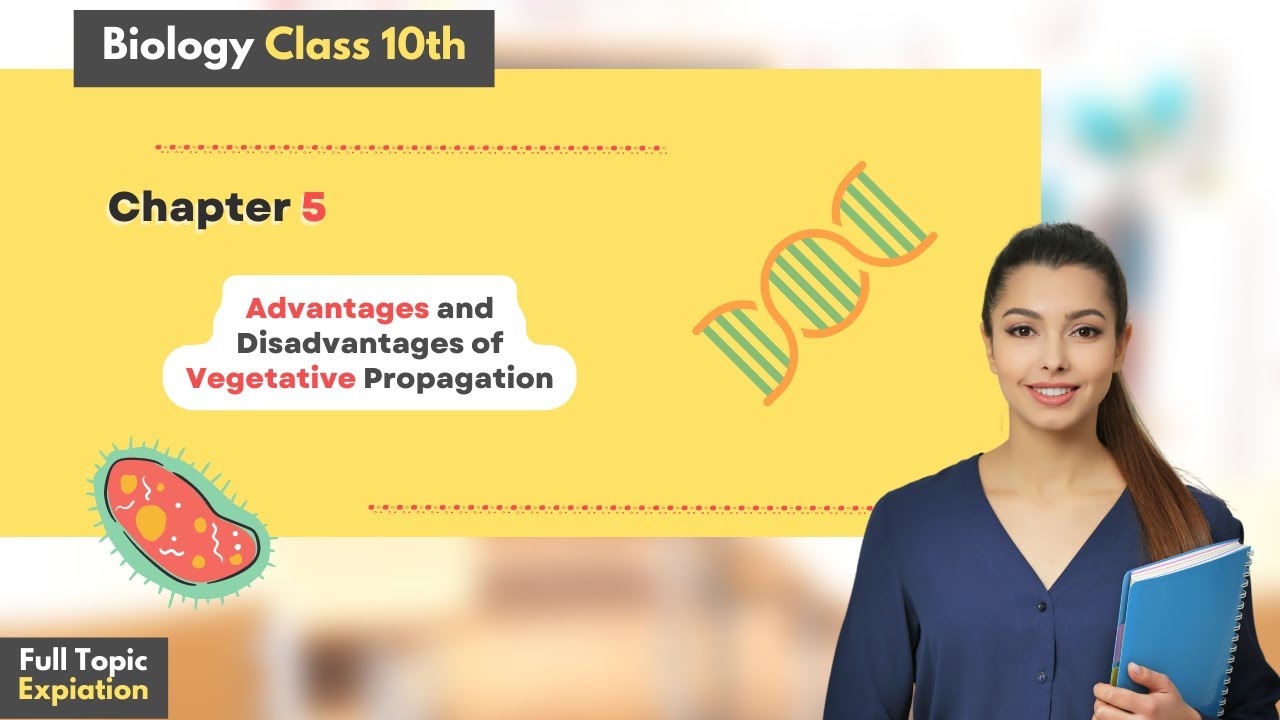 Advantages and disadvantages of vegetative propagation in plants |chp#14 | biology class 10th
