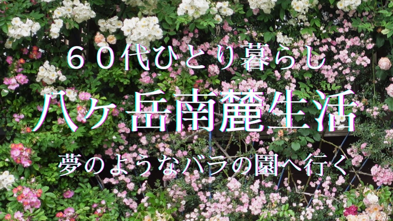 【八ヶ岳南麓６０代一人暮らし】#25 SPOON GARDENでランチ/秘密のバラの園・野わけ／おまけのハーブスタンド／グリの予防注射/いつもの猫たち/移住暮らし/田舎暮らし/シニアライフ