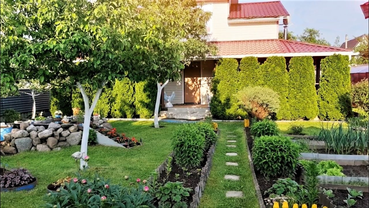 🌺Great Examples of Beautiful Plots