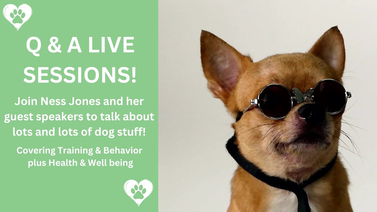 Q&A Live - Separation Anxiety July 29