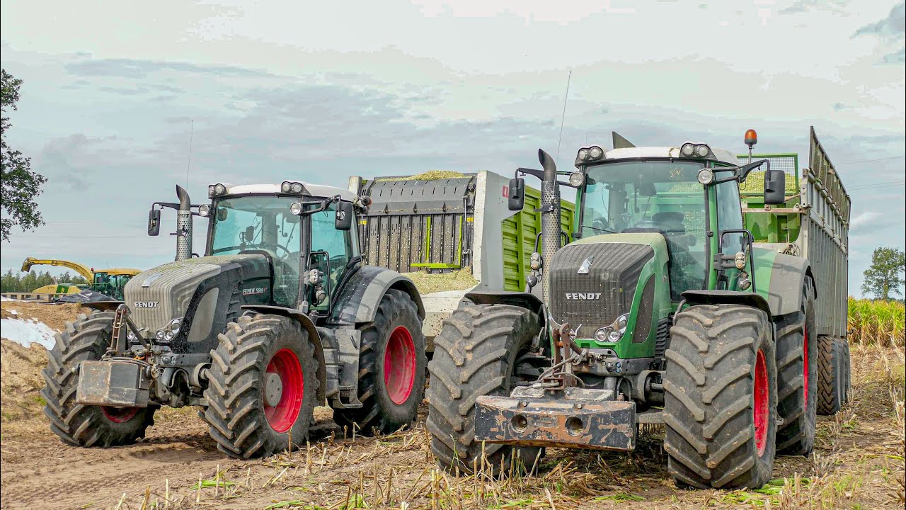 Dzikie Fendty Na Rejonie! Kukurydza Na Kiszonkę 2020 w Starym Stylu! [3xFendt, Kubota, Krone, NH]