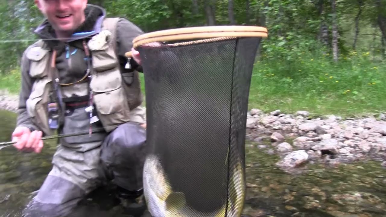 Tørrfluefiske etter grov brunørret 2016
