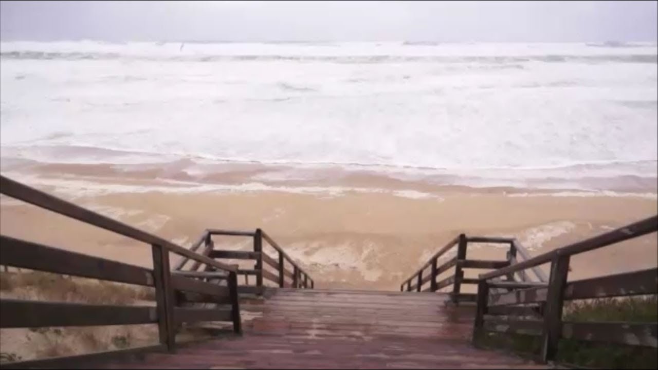 Balade à Mimizan (03 nov 2019)