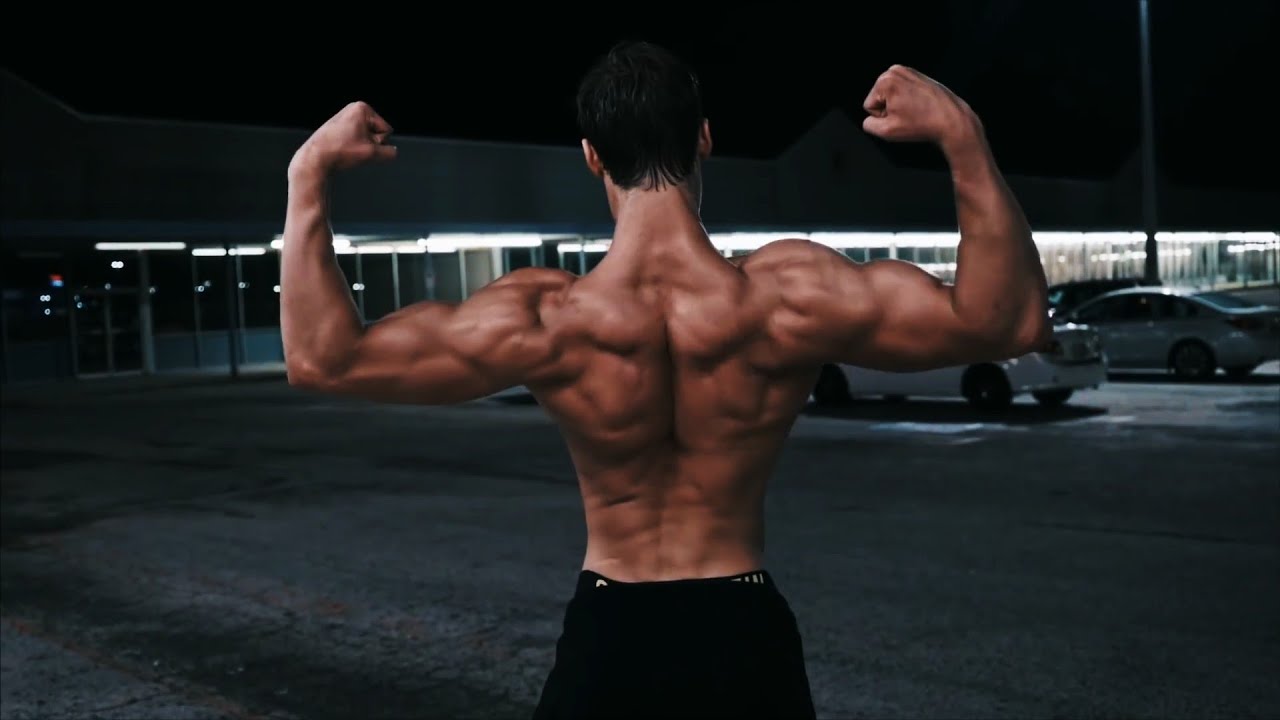 DAVID LAID - MOTIVATION - THE KING OF AESTHETICS!