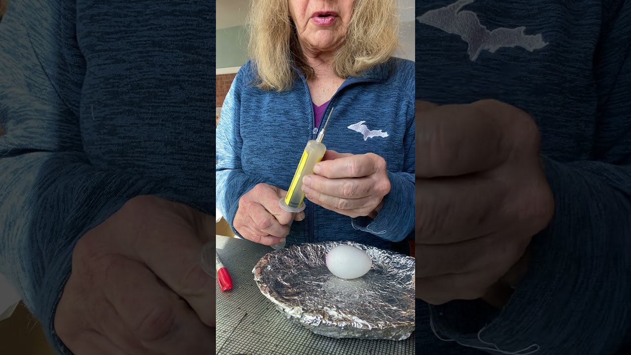 How to empty a Pysanky egg