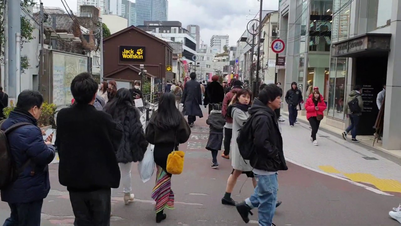 Cats Street 2019 _ Japan Travel Guide