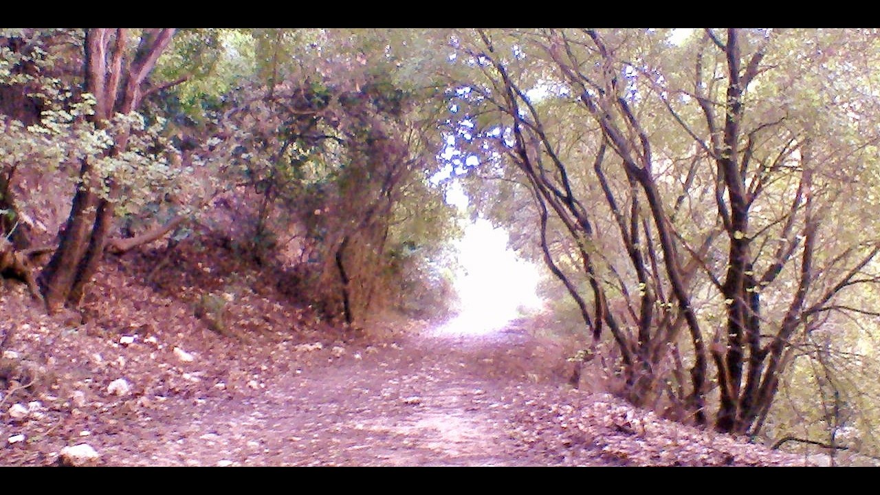 Video Project 18