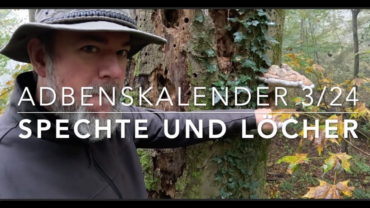 Von Spechten und Löchern (ABK 3/24