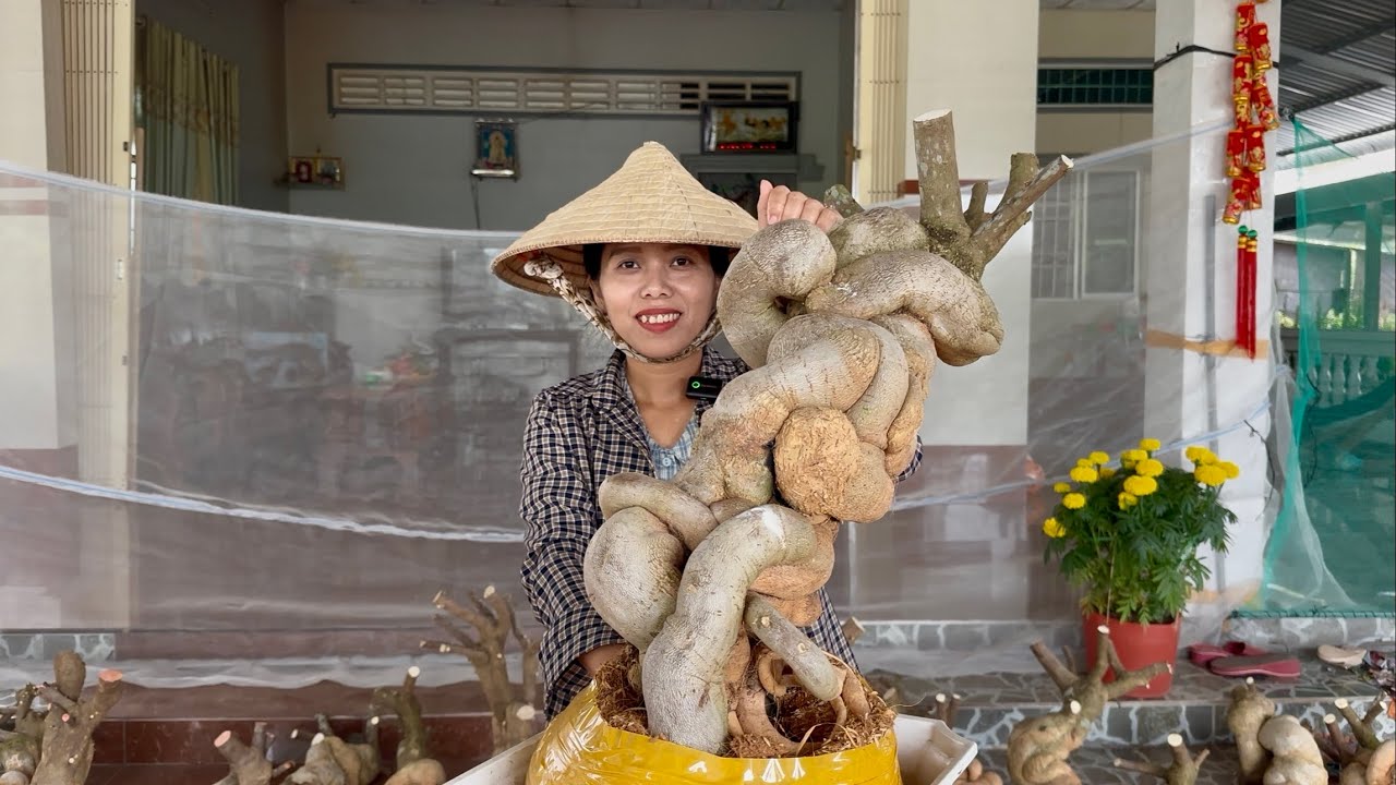 Phôi hoa giấy Hương Đoàn giao lưu siêu phẩm đẹp nhiều kiểu dáng bao phí ship ☎0939.421.599