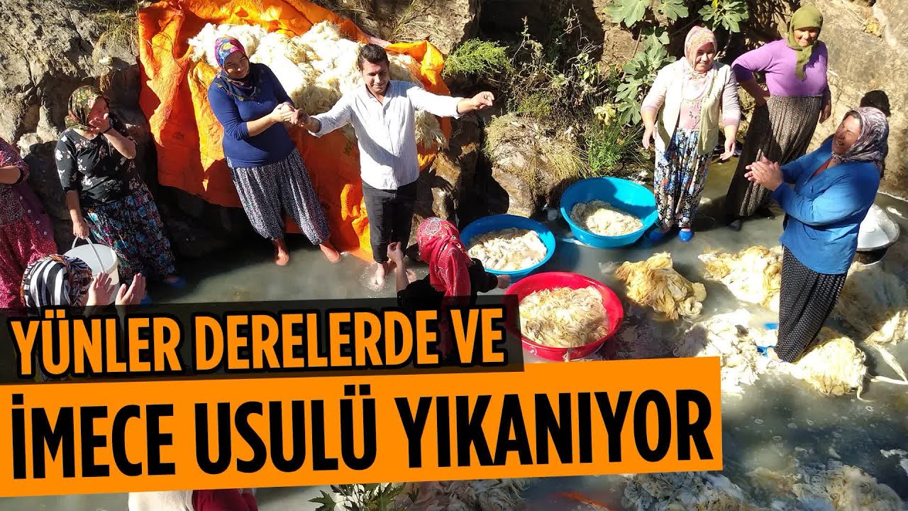 Yün Yıkama Geleneği Devam Ediyor!