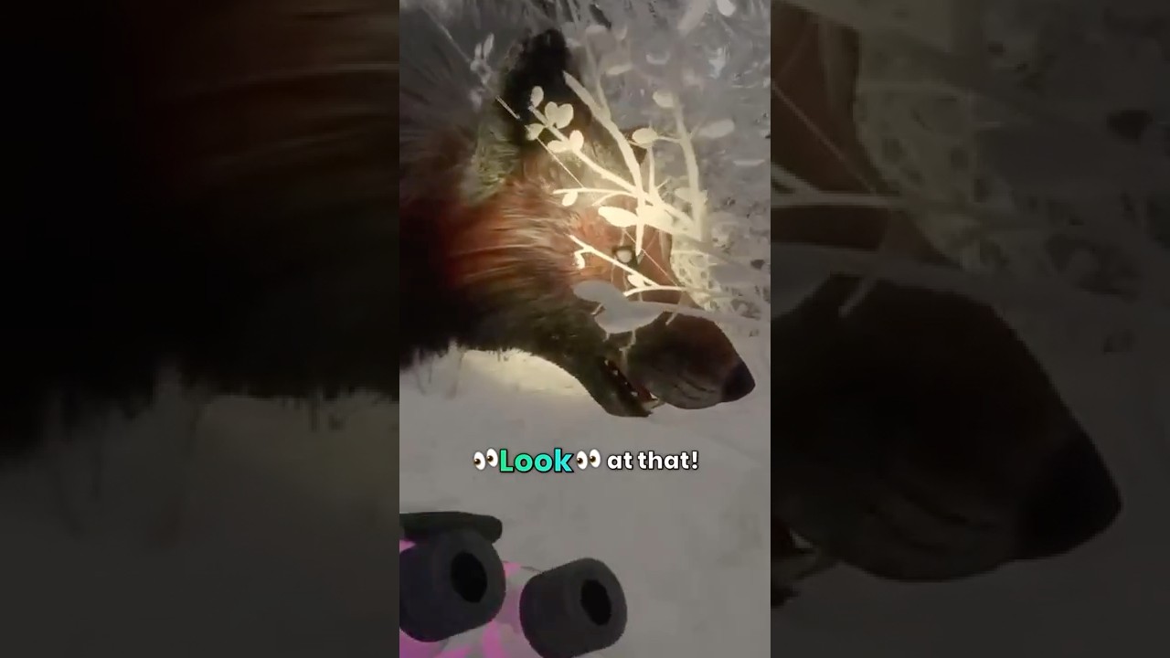 My CRAZIEST SPAWN in 8 YEARS!!! 😳😳😳 - Call of the Wild #shorts