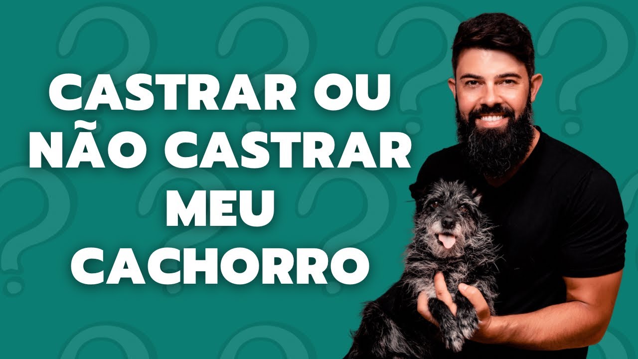 Castrar ou não meu cachorro? Pontos positivos e negativos da castração, mitos e minha opinião