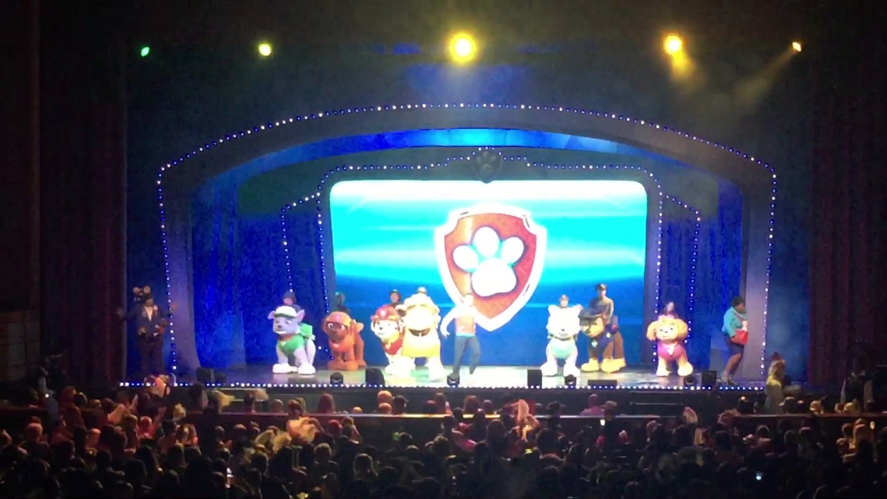 Paw patrol live