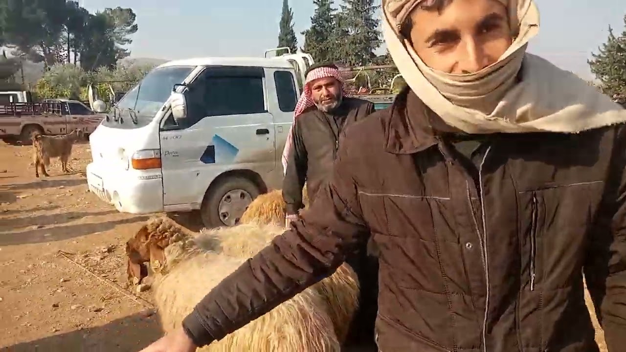 الاسواق العربيه فرع الشمال سوق عفرين سعر الغنام والحروف الااتنسو الاشتراك بالقناه 2024/1/1