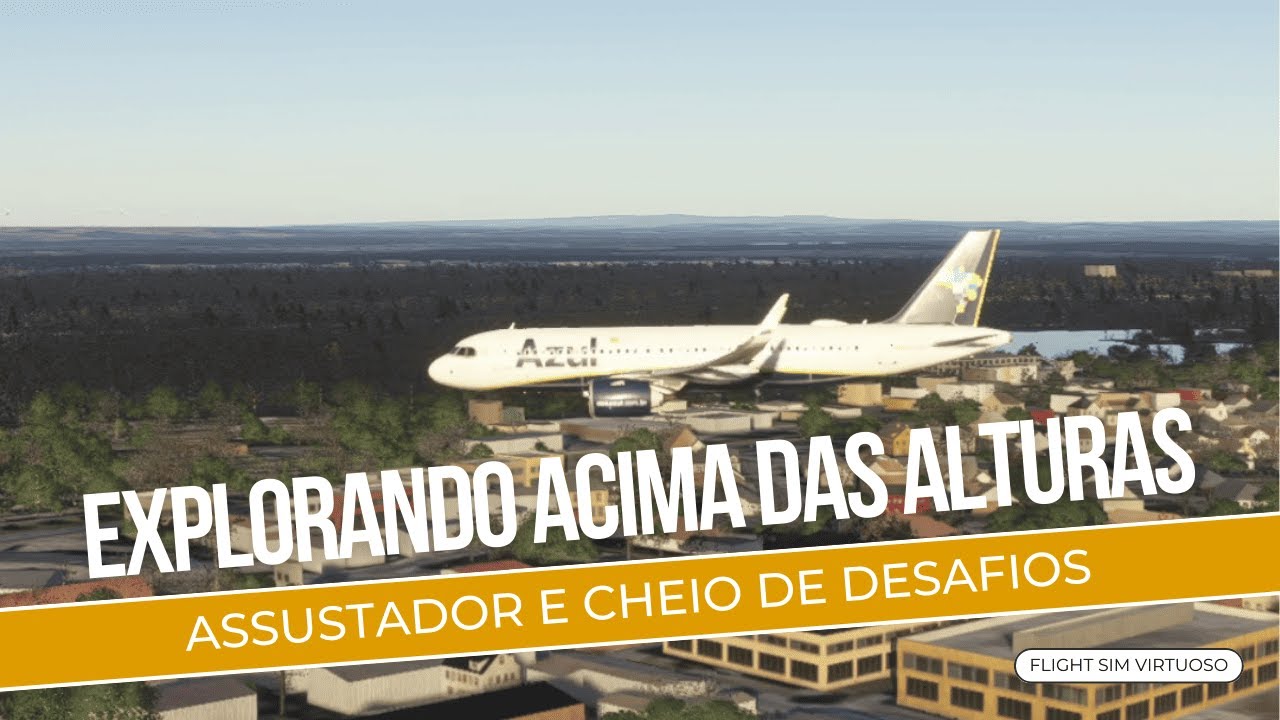 Wings of Freedom: Exploring the World of Flight Simulation - 0145