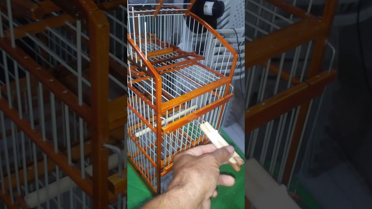 gaiola pegadeira 4 alçapoes 85 99229 1699