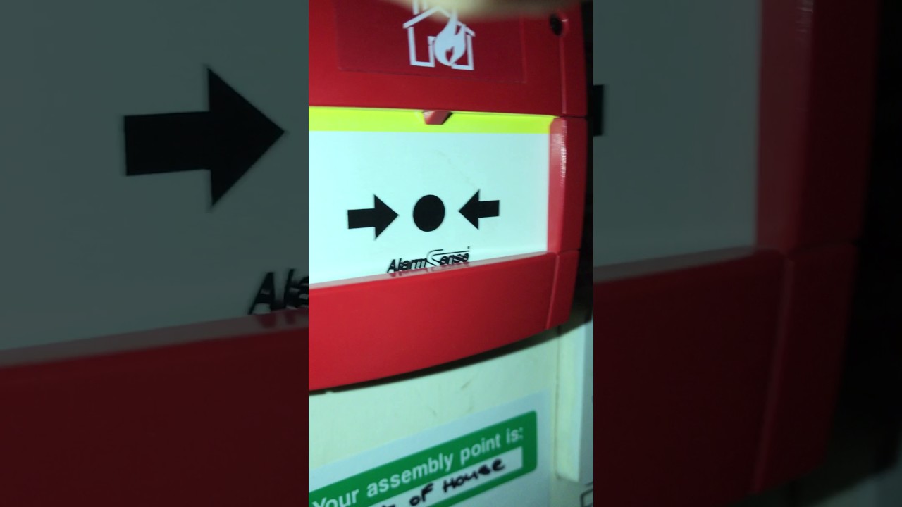 Apollo Alarmsense Test Of The Smoke Detector and Call Point