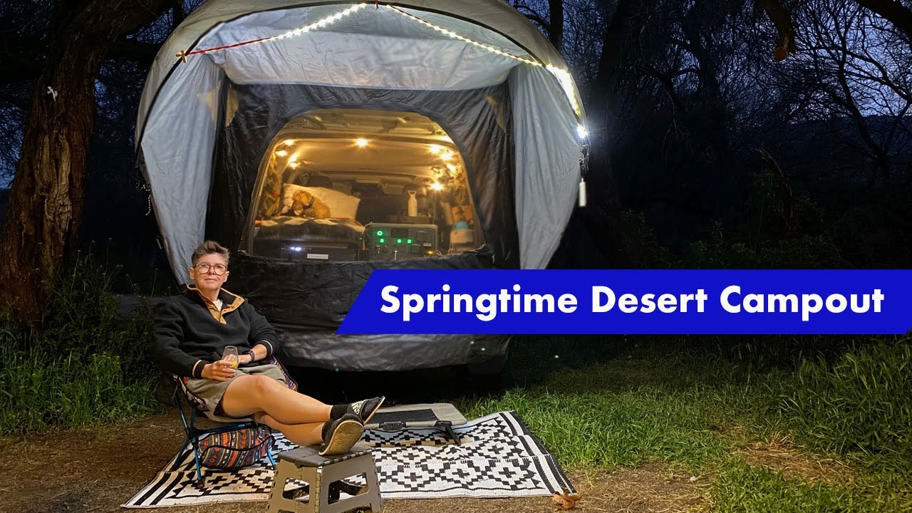 Desert springtime solo camp, in my 5th gen 4Runner