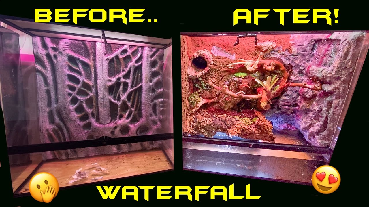 Buliding A Paludarium With Waterfall!!!