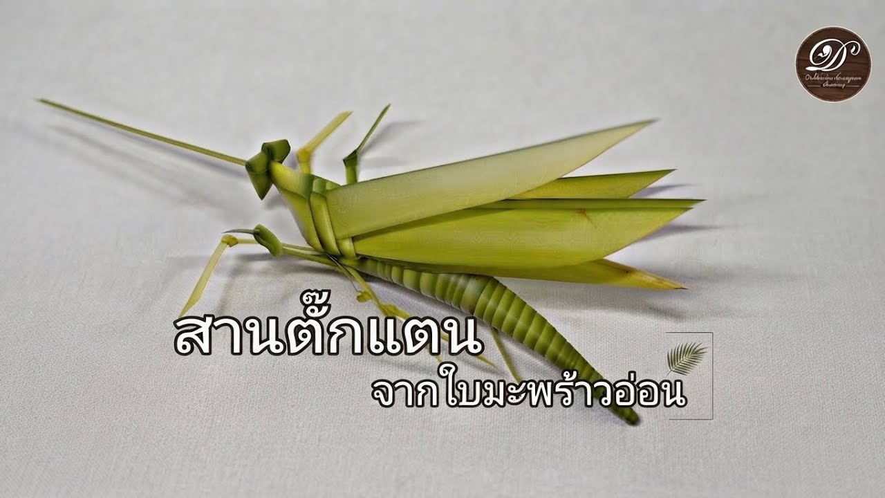 พับสานของเล่นโบราณ สานตั๊กแตน