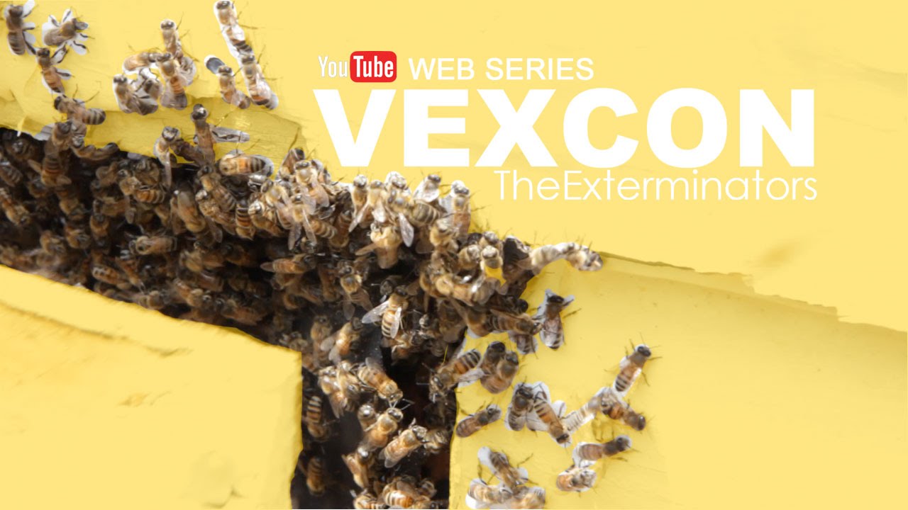 Vexcon The Exterminators - Web Series (Episode 7: Bees Attack)
